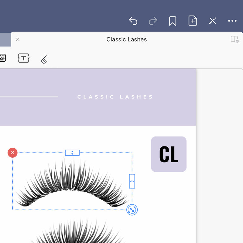 Classic Lashes - Digital Lash Maps - Design Presets