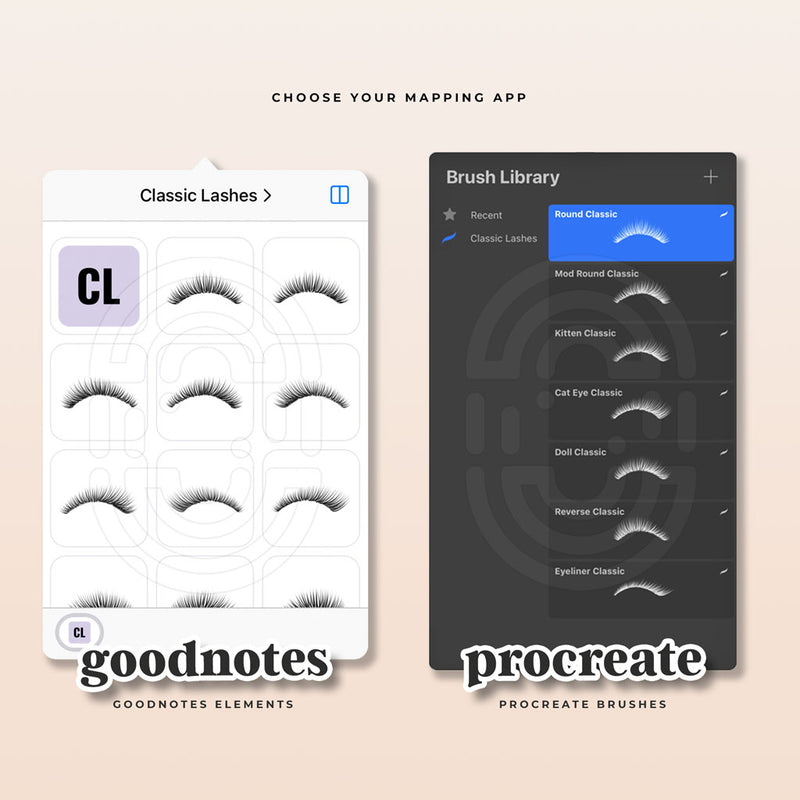 Classic Lashes - Digital Lash Maps - Design Presets