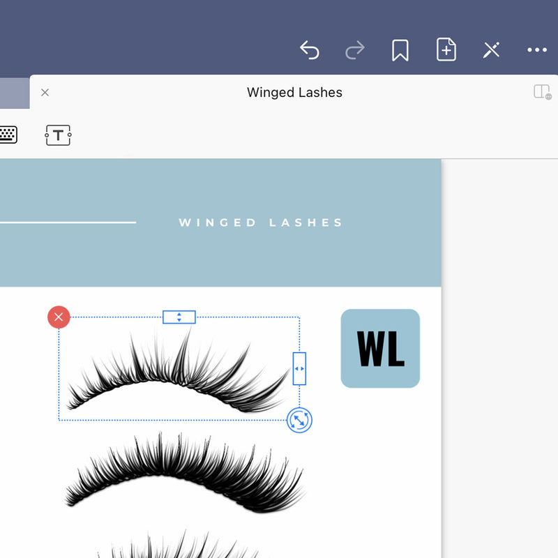 Winged Lashes - Digital Lash Maps