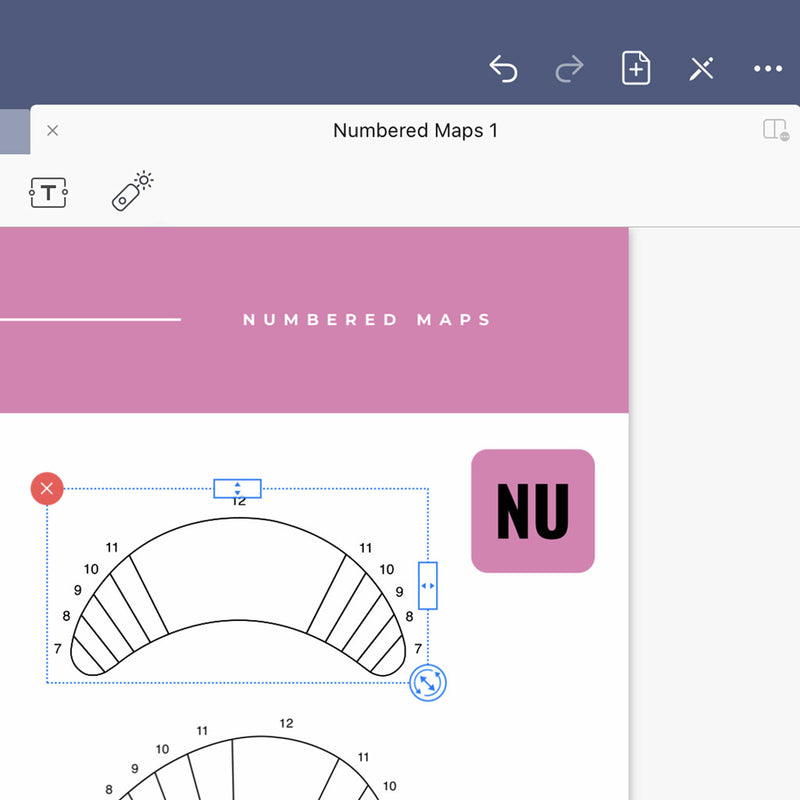 Numbered Maps - Digital Lash Maps