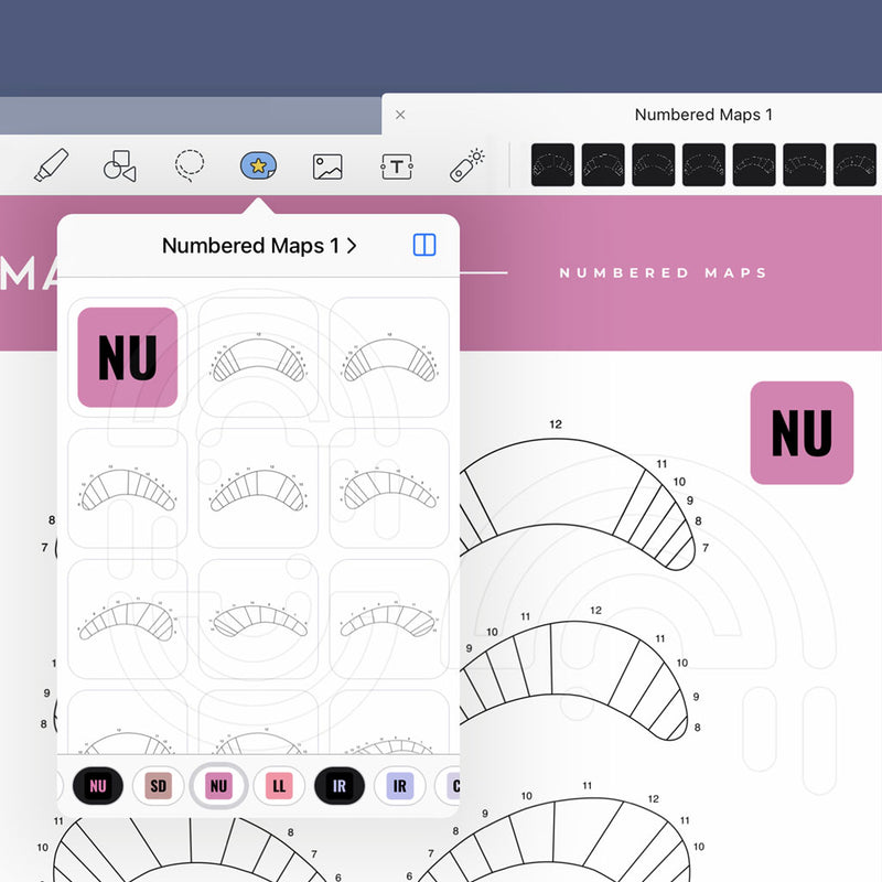 Numbered Maps - Digital Lash Maps