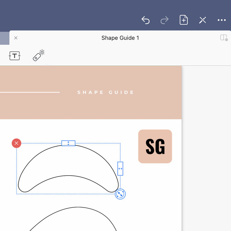 Shape Guides - Digital Lash Maps