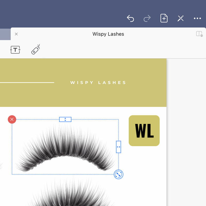 Wispy Lashes - Digital Lash Maps - Design Presets